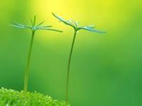 南寧市召開創國衛先進單位及個人表彰大會