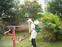 2012年南寧兩會一節加強“四害”消殺工作