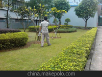 第29屆全國衛生殺蟲藥械學術交流會在成都市召開